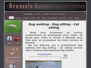 Brussels best dog walker
