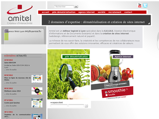 Détails : Création de site internet à Lyon - Amitel