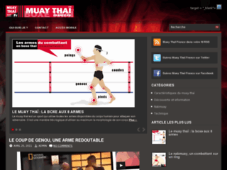 Muay Thaï FRANCE, pour comprendre la boxe thaie