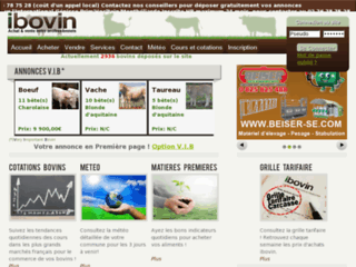 Bienvenue sur iBovin.com: achat et vente de bovins
