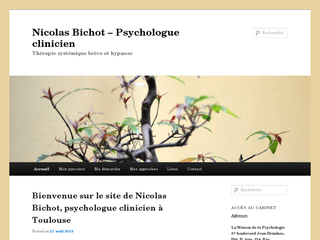 Détails : Nicolas Bichot - Psychologue clinicien