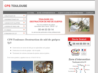 Destruction de nids de guêpes à Toulouse par CPS