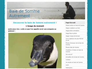 Détails : guide en baie de Somme