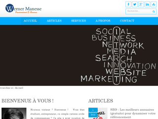 Werner Manesse : Passionnément E-business