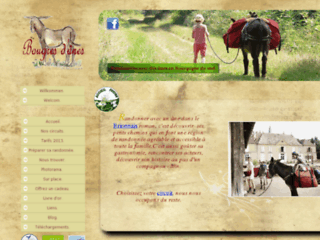 Détails : Randonnée avec un âne en Bourgogne du sud