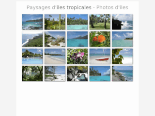 Détails : Paysages d'iles tropicales