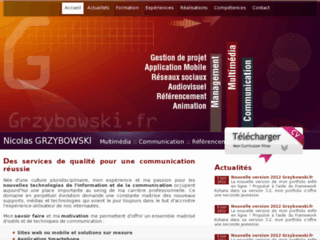 Portfolio Chef de projet : Grzybowski Nicolas - Multimedia Communication Referencement
